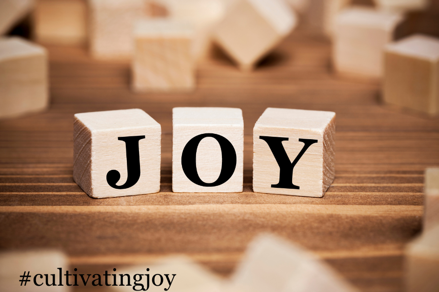Cultivating Joy in an Ordinary World